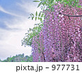 977731