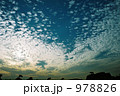 978826