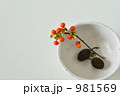 秋の実_横