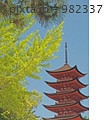 982337