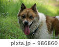 田舎でのワンショット