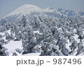 残雪の八幡平の樹海と岩手山