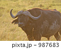 987683