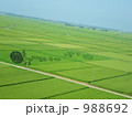 田んぼアート