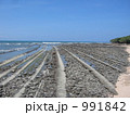 青島の鬼の洗濯岩