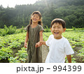こっちおいで