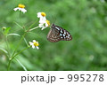 つかのまの食事