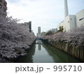 目黒川の桜