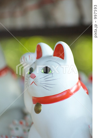 「招き猫」の写真素材 「招き猫」の写真素材