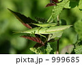 999685