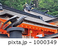 熊野那智大社本殿と八咫烏