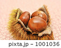 秋の味覚の栗