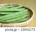 サヤインゲン（インゲン、インゲンマメ）