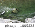 大歩危峡
