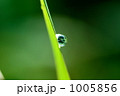 水滴 水滴