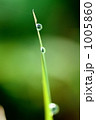 水滴 水滴