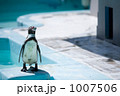 1007506