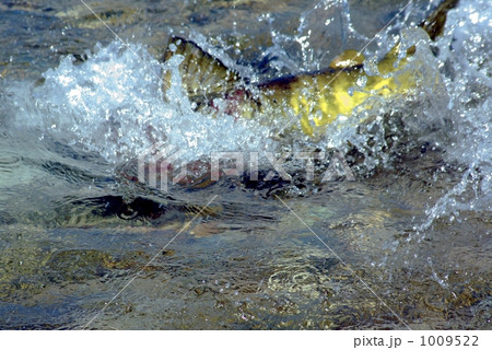 「飛沫」の写真素材