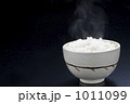 ごはん