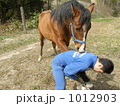 削蹄中の愛馬