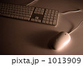 1013909