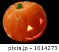 1014273