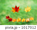 1017012