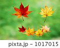 1017015