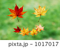1017017