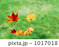 1017018