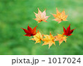 1017024
