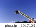 はしご車の体験防災訓練