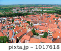 ネルトリンゲン