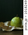 1018249