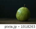 1018263
