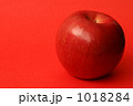 1018284
