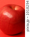 1018294