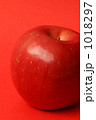 1018297