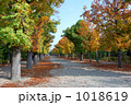 秋の公園