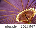 1018647