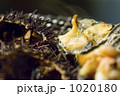 1020180