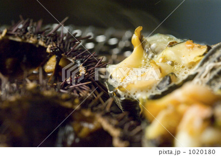 「サザエの壷焼 ウニ 炭火焼 」の写真素材 「サザエの壷焼 ウニ 炭火焼 」の写真素材