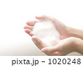 1020248