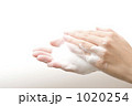 1020254