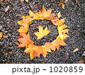 1020859