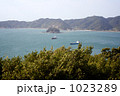 瀬戸内海の風景