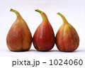 1024060