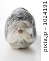 1024191