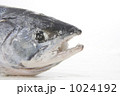 1024192