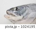 1024195